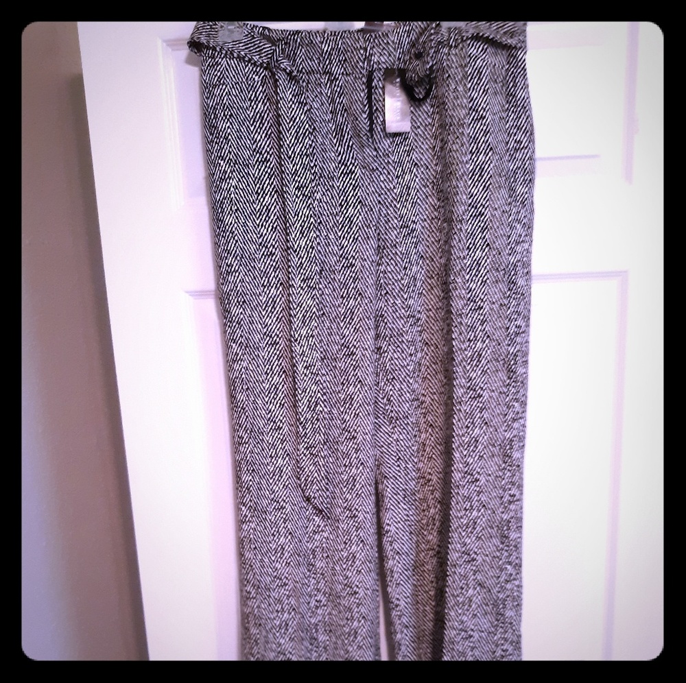 dress pants size 6L